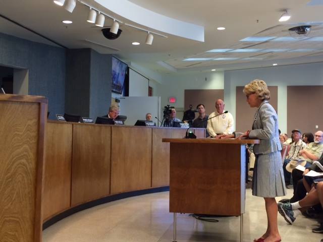 Jan Cervelli County Board Meeting